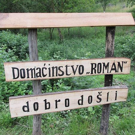 Country House Roman Doboj Exterior photo