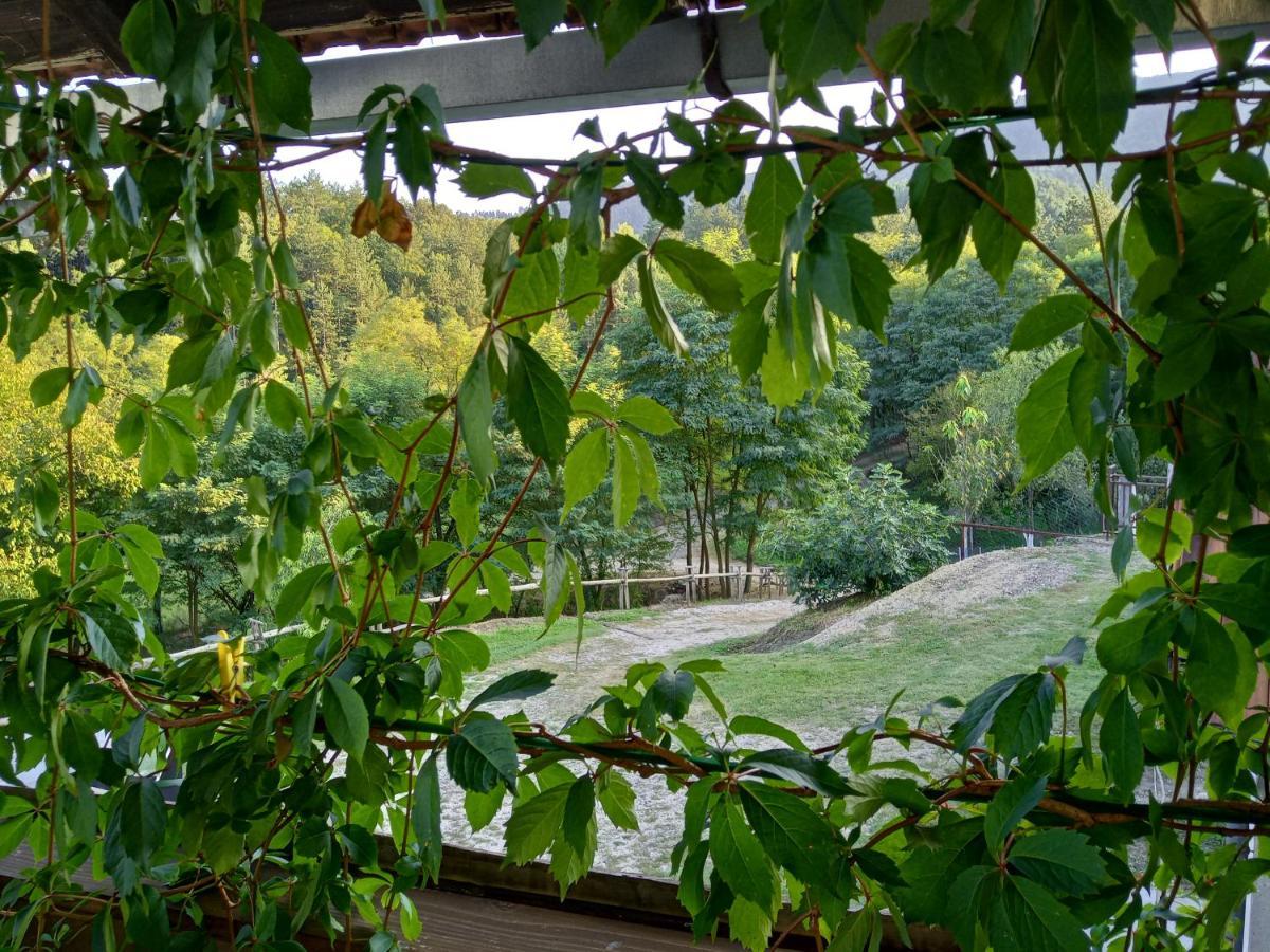 Country House Roman Doboj Exterior photo
