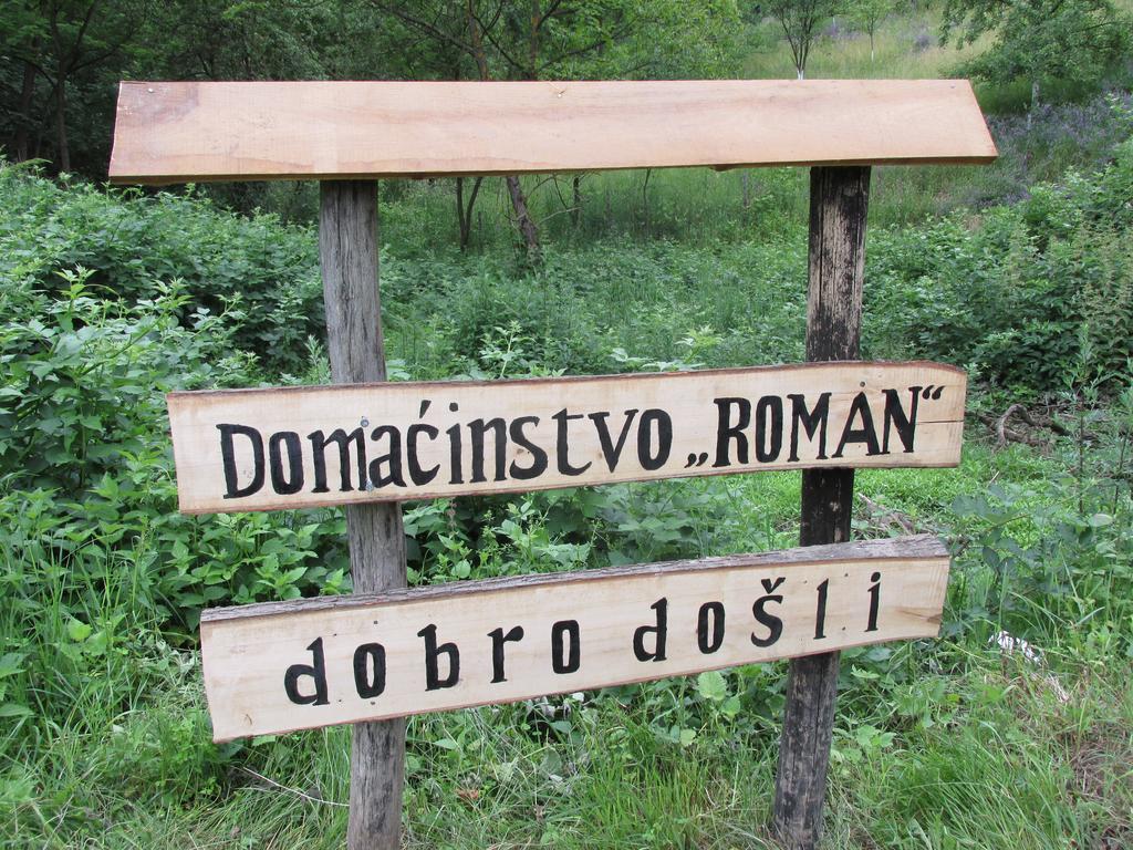 Country House Roman Doboj Exterior photo